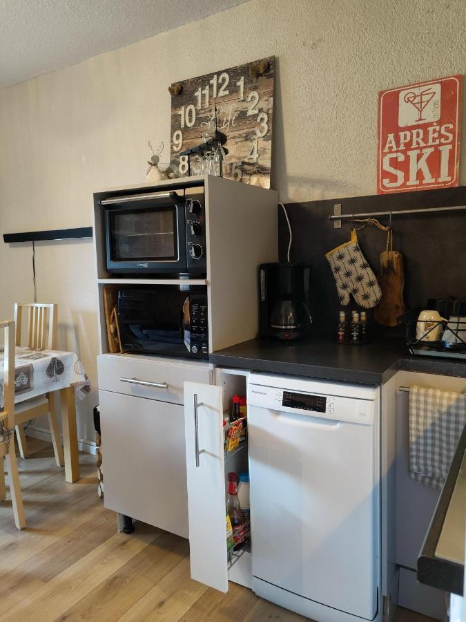 Studio Avec Jardin Et Garage, Proche Super Venosc Les Deux Alpes Dış mekan fotoğraf